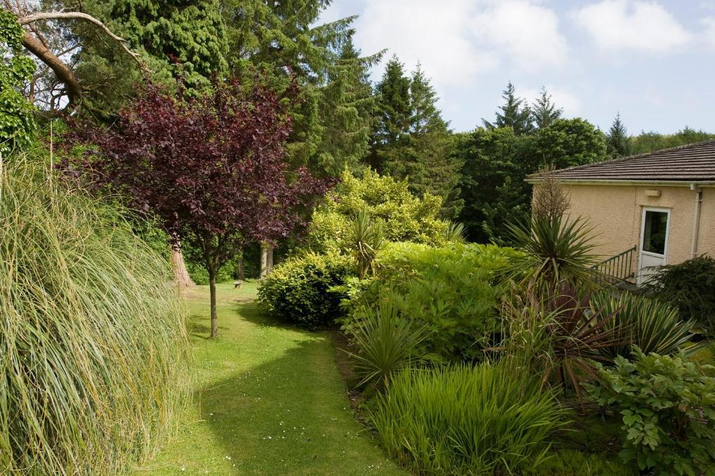 Cwmwennol Country House Saundersfoot Kültér fotó