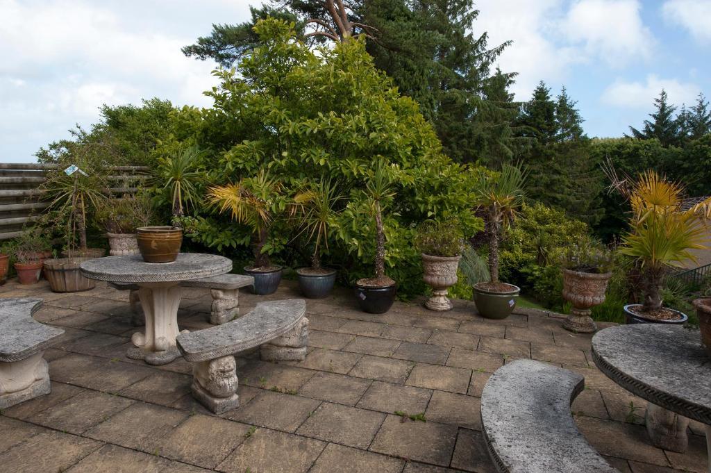Cwmwennol Country House Saundersfoot Kültér fotó